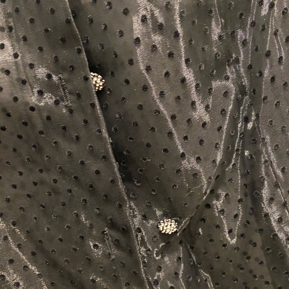 NWT Zara French dot sheer blouse - Picture 5 of 6